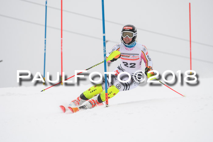 FIS Slalom Damen + Herren 23.02.2018
