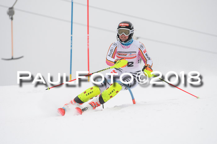 FIS Slalom Damen + Herren 23.02.2018