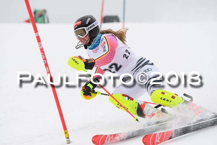 FIS Slalom Damen + Herren 23.02.2018