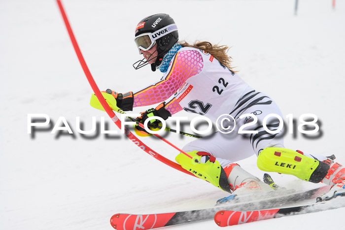 FIS Slalom Damen + Herren 23.02.2018