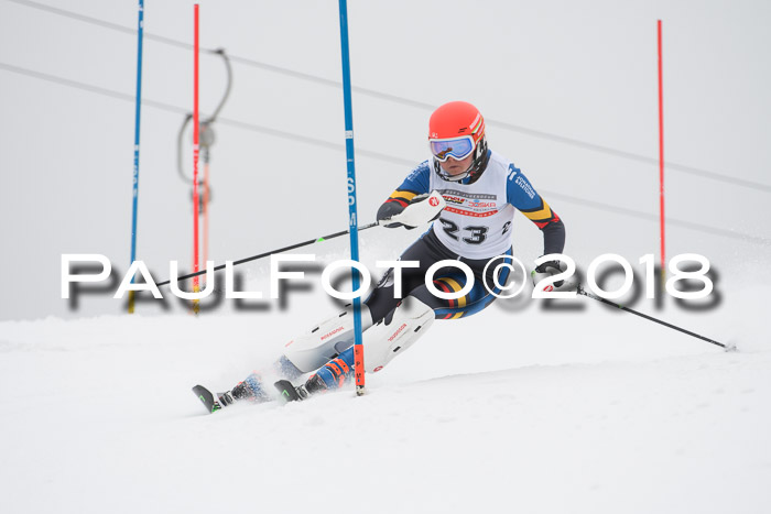 FIS Slalom Damen + Herren 23.02.2018