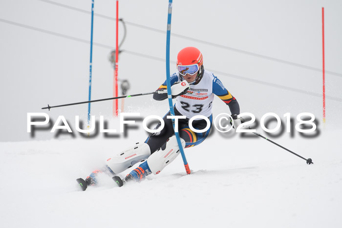 FIS Slalom Damen + Herren 23.02.2018