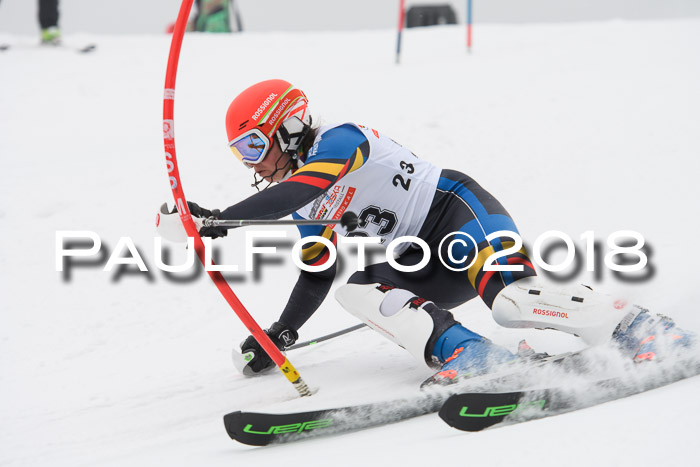 FIS Slalom Damen + Herren 23.02.2018