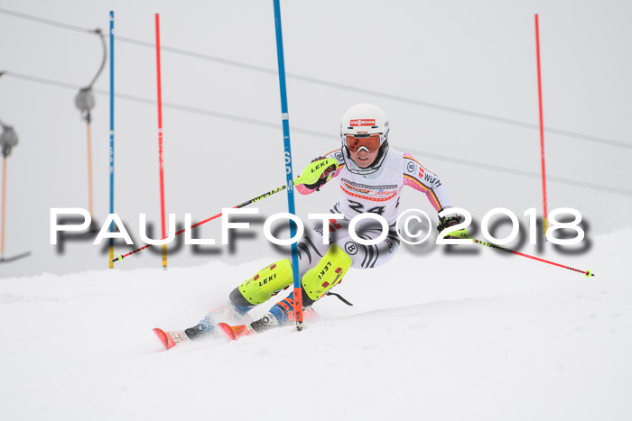 FIS Slalom Damen + Herren 23.02.2018