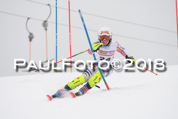 FIS Slalom Damen + Herren 23.02.2018