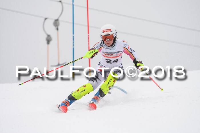 FIS Slalom Damen + Herren 23.02.2018