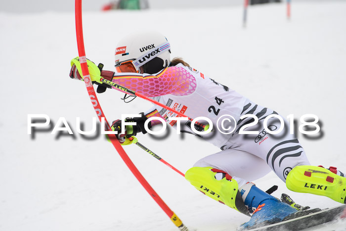 FIS Slalom Damen + Herren 23.02.2018