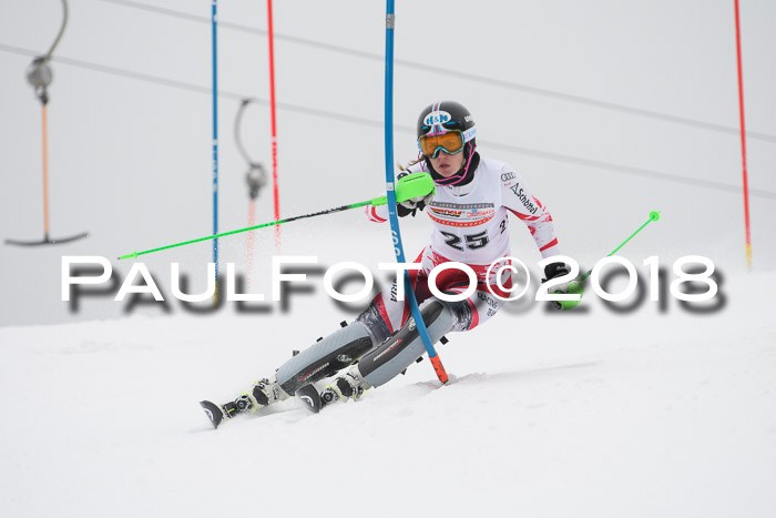 FIS Slalom Damen + Herren 23.02.2018