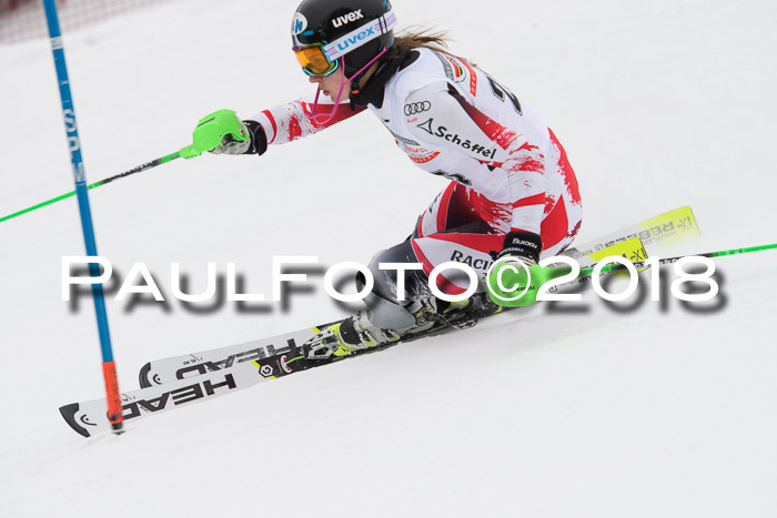 FIS Slalom Damen + Herren 23.02.2018