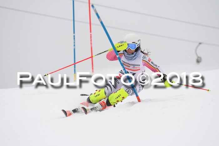 FIS Slalom Damen + Herren 23.02.2018