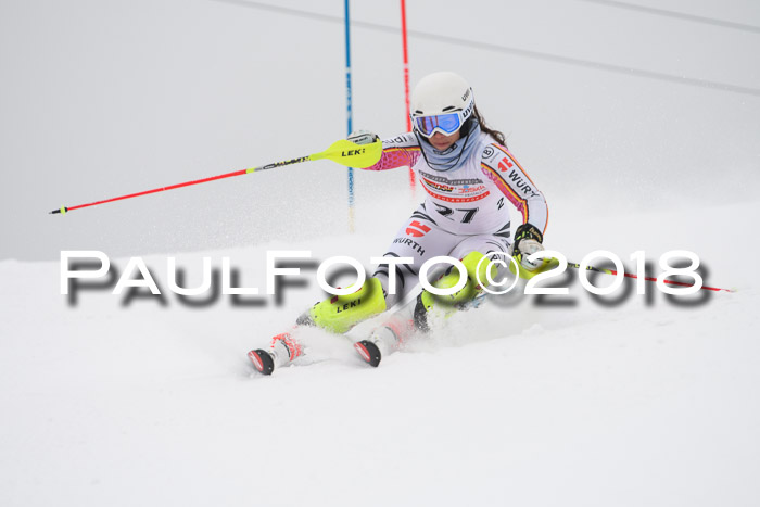 FIS Slalom Damen + Herren 23.02.2018