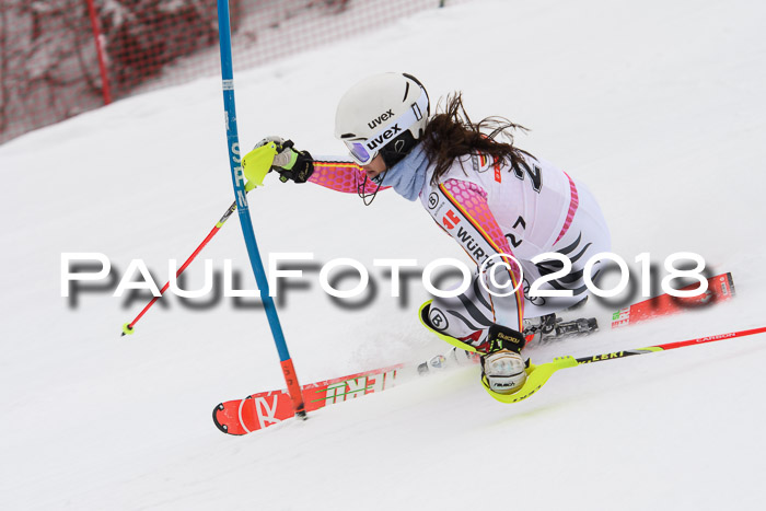 FIS Slalom Damen + Herren 23.02.2018