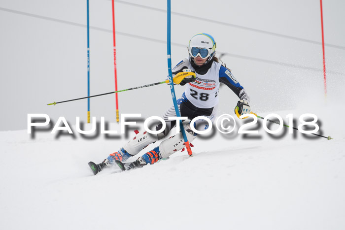 FIS Slalom Damen + Herren 23.02.2018