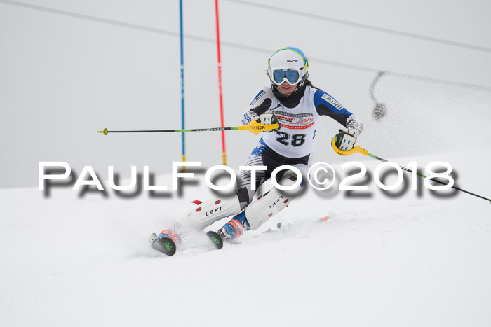 FIS Slalom Damen + Herren 23.02.2018