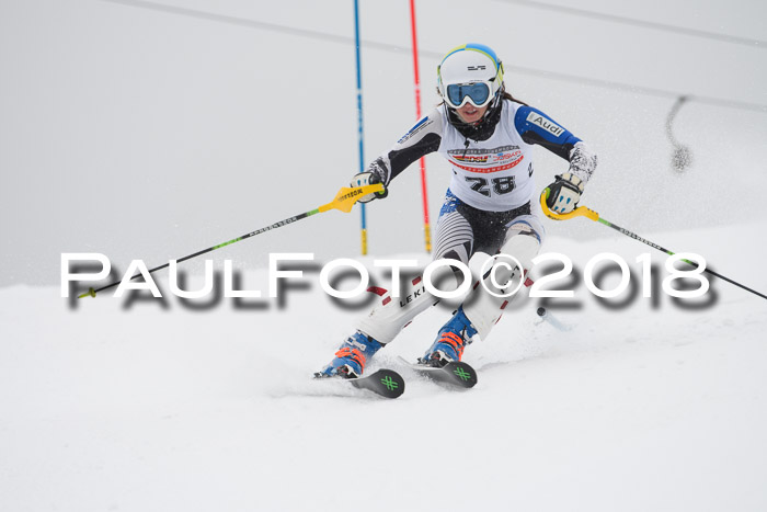 FIS Slalom Damen + Herren 23.02.2018