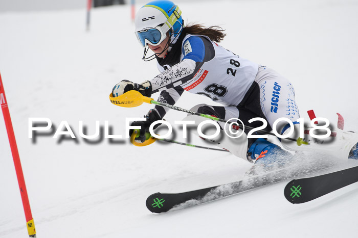 FIS Slalom Damen + Herren 23.02.2018