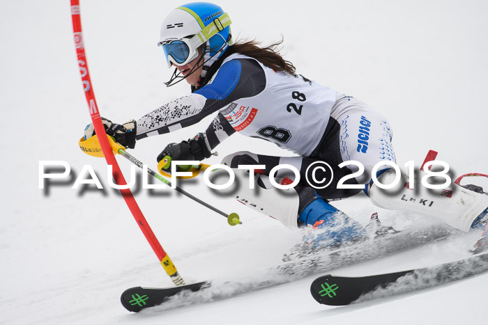 FIS Slalom Damen + Herren 23.02.2018