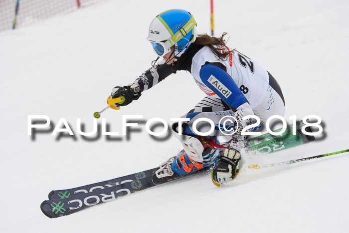 FIS Slalom Damen + Herren 23.02.2018