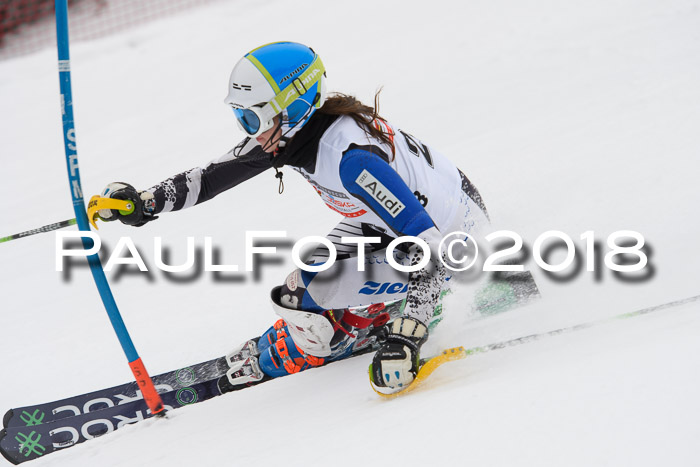 FIS Slalom Damen + Herren 23.02.2018