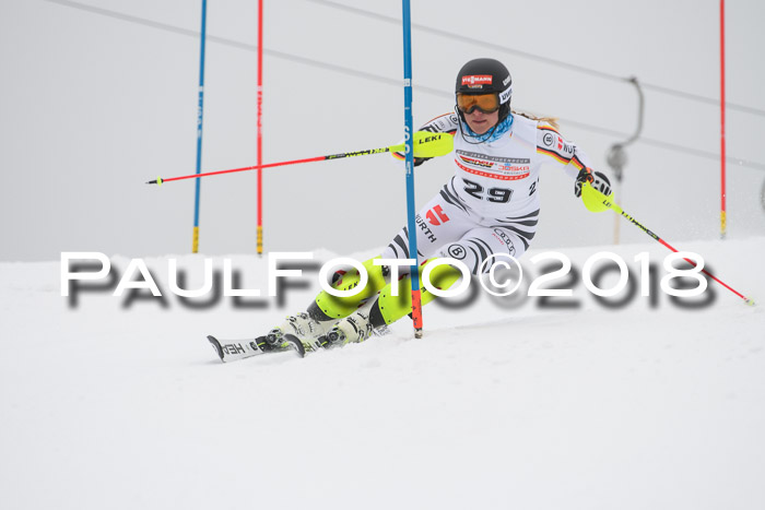 FIS Slalom Damen + Herren 23.02.2018
