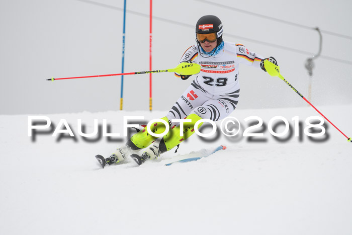 FIS Slalom Damen + Herren 23.02.2018