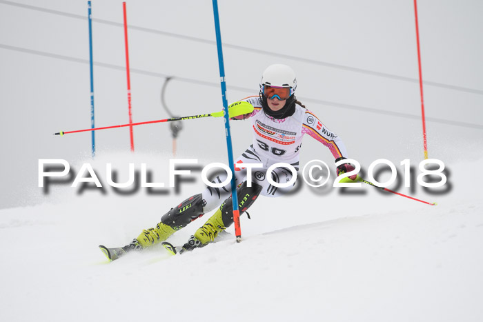 FIS Slalom Damen + Herren 23.02.2018