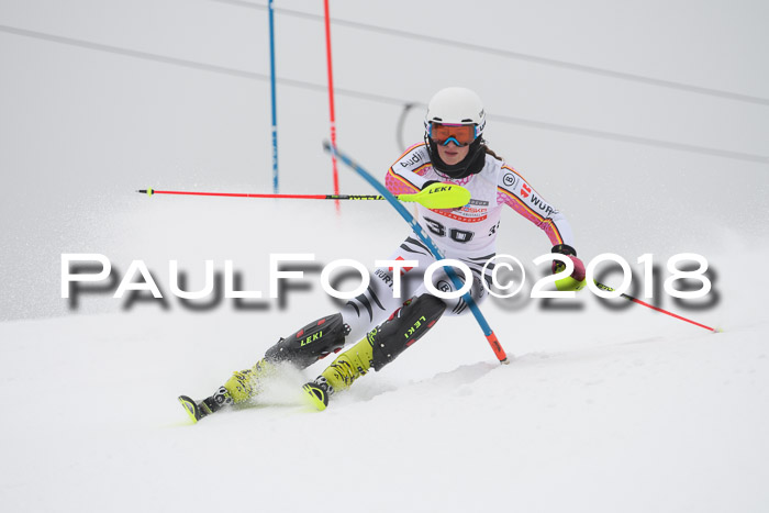 FIS Slalom Damen + Herren 23.02.2018