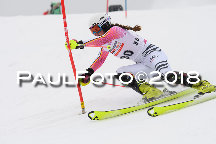 FIS Slalom Damen + Herren 23.02.2018