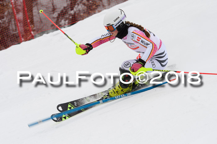 FIS Slalom Damen + Herren 23.02.2018