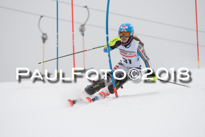 FIS Slalom Damen + Herren 23.02.2018