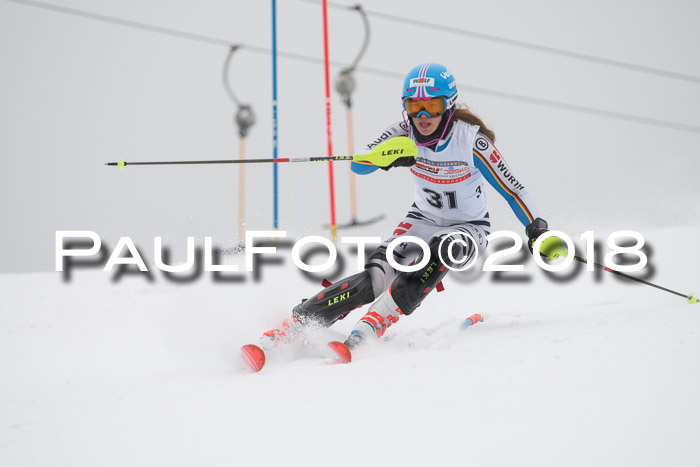 FIS Slalom Damen + Herren 23.02.2018