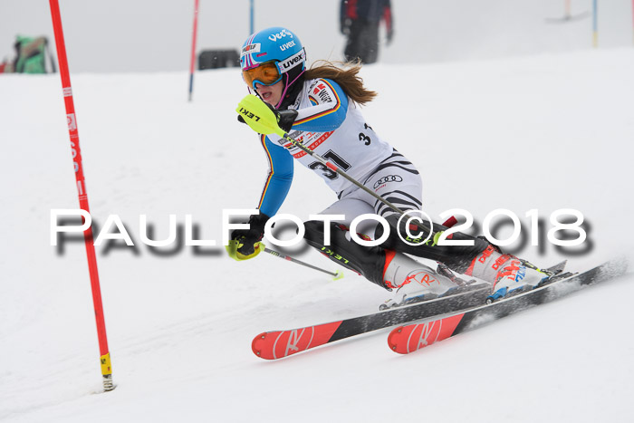 FIS Slalom Damen + Herren 23.02.2018