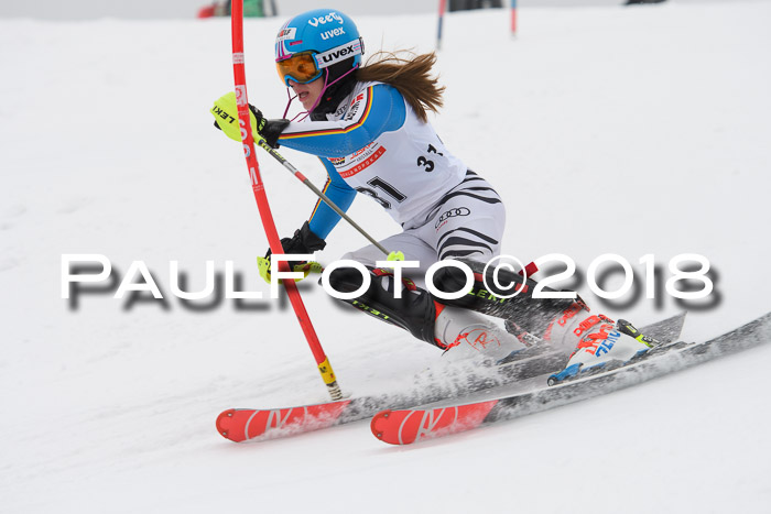 FIS Slalom Damen + Herren 23.02.2018