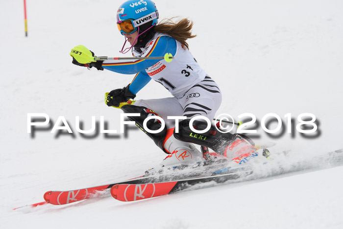 FIS Slalom Damen + Herren 23.02.2018