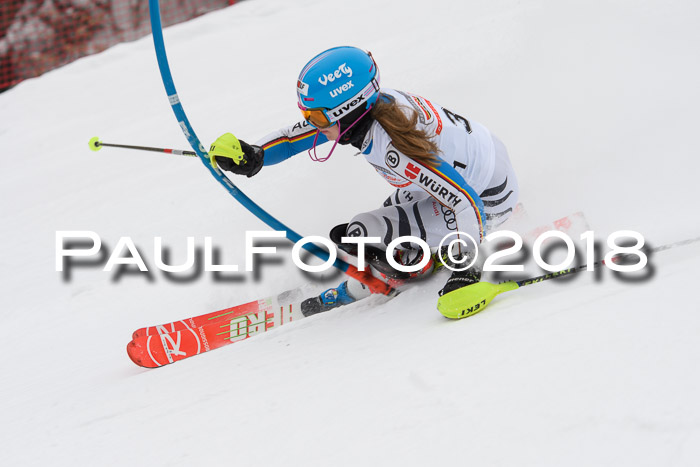 FIS Slalom Damen + Herren 23.02.2018