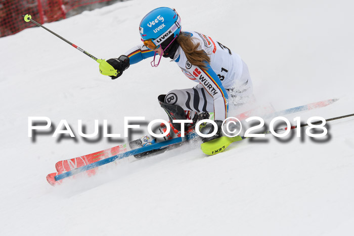 FIS Slalom Damen + Herren 23.02.2018