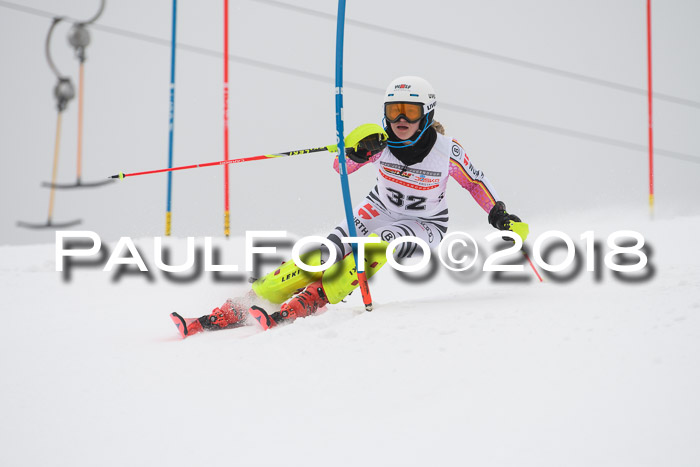 FIS Slalom Damen + Herren 23.02.2018