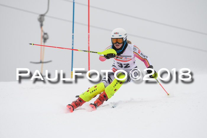 FIS Slalom Damen + Herren 23.02.2018