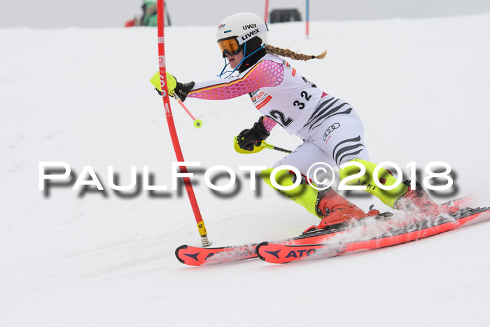 FIS Slalom Damen + Herren 23.02.2018