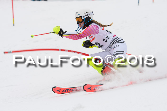 FIS Slalom Damen + Herren 23.02.2018