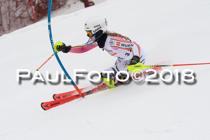 FIS Slalom Damen + Herren 23.02.2018