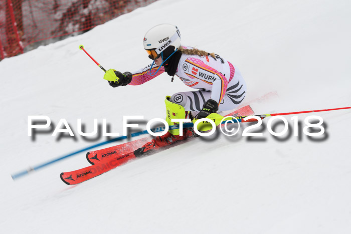 FIS Slalom Damen + Herren 23.02.2018