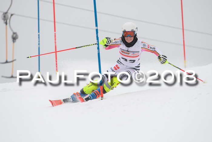 FIS Slalom Damen + Herren 23.02.2018