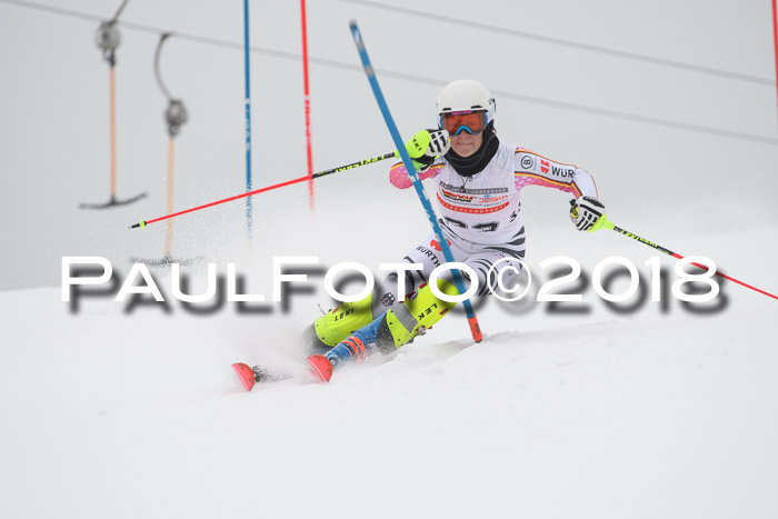 FIS Slalom Damen + Herren 23.02.2018
