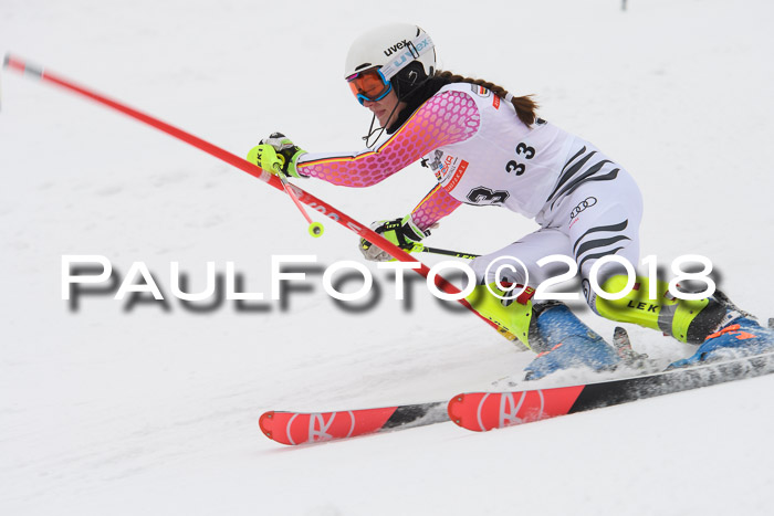 FIS Slalom Damen + Herren 23.02.2018