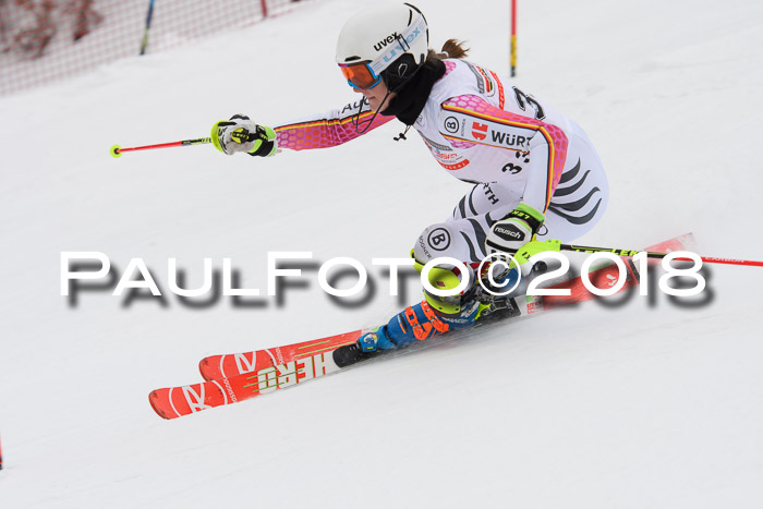 FIS Slalom Damen + Herren 23.02.2018
