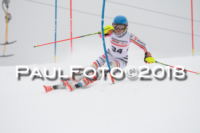 FIS Slalom Damen + Herren 23.02.2018