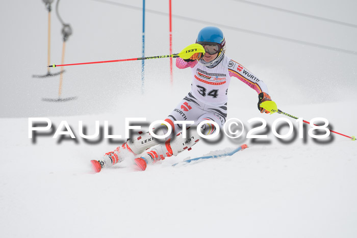 FIS Slalom Damen + Herren 23.02.2018