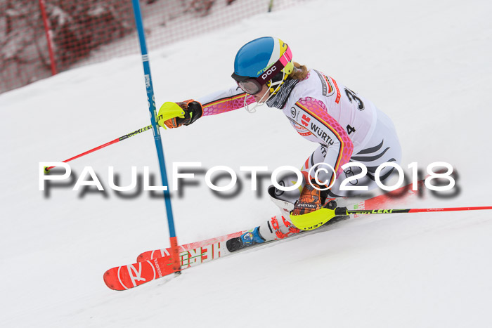 FIS Slalom Damen + Herren 23.02.2018