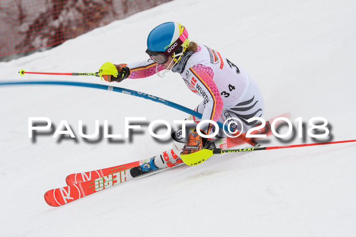 FIS Slalom Damen + Herren 23.02.2018